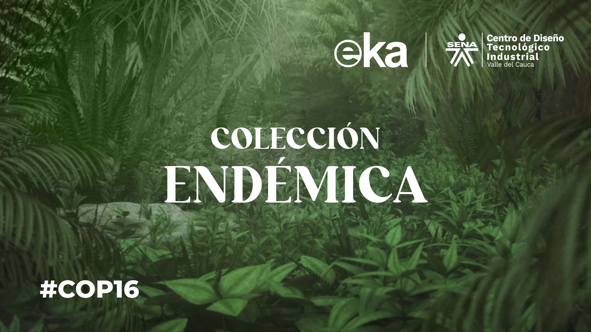 Endémica: Una Colección que Celebra la Biodiversidad del Pacífico Colombiano